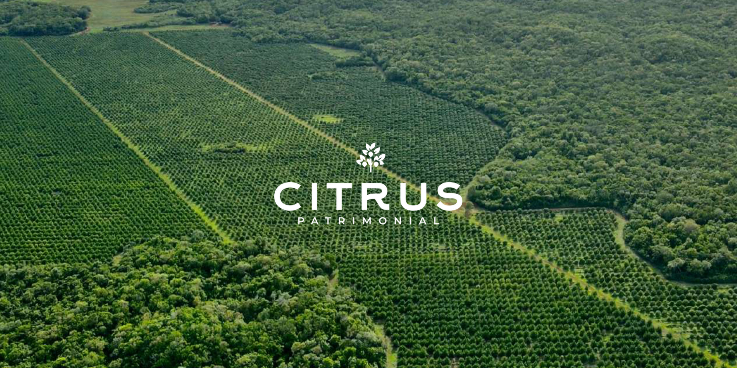 Citrus Patrimonial